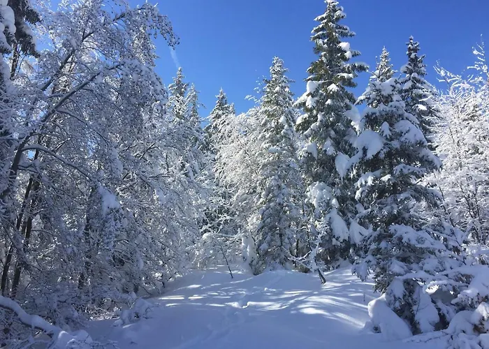 Le Rocher Blanc A Courchevel