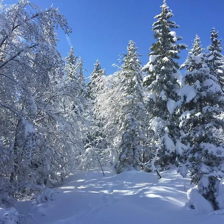 Le Rocher Blanc A Courchevel